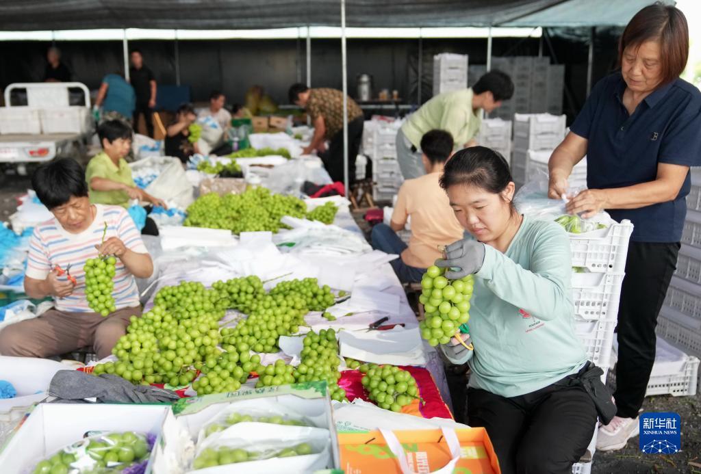 赌博过三关技巧